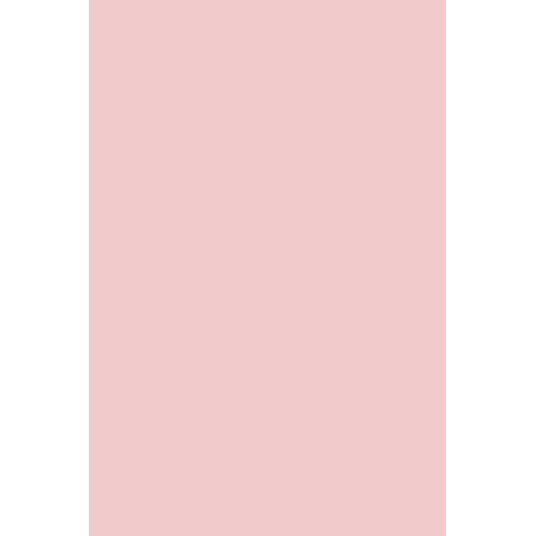 Andreia Professional Gel Polish 200